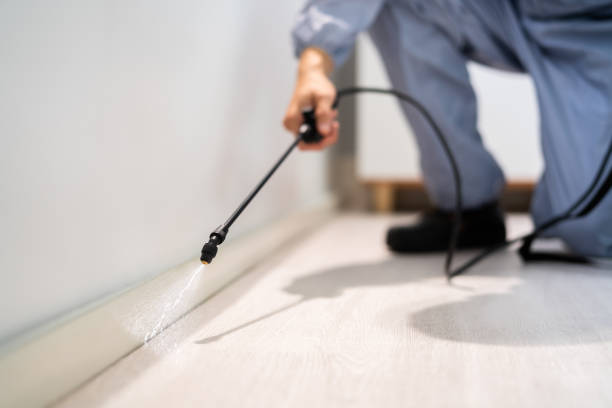 Licensed Pest Control service in Mount Shasta, CA - Show Me Pest Control
