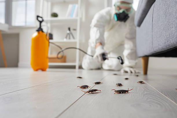 Commercial Kitchen Cockroach Control in Mount Shasta